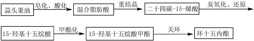 Method for synthesis of macrocyclic musk lactone