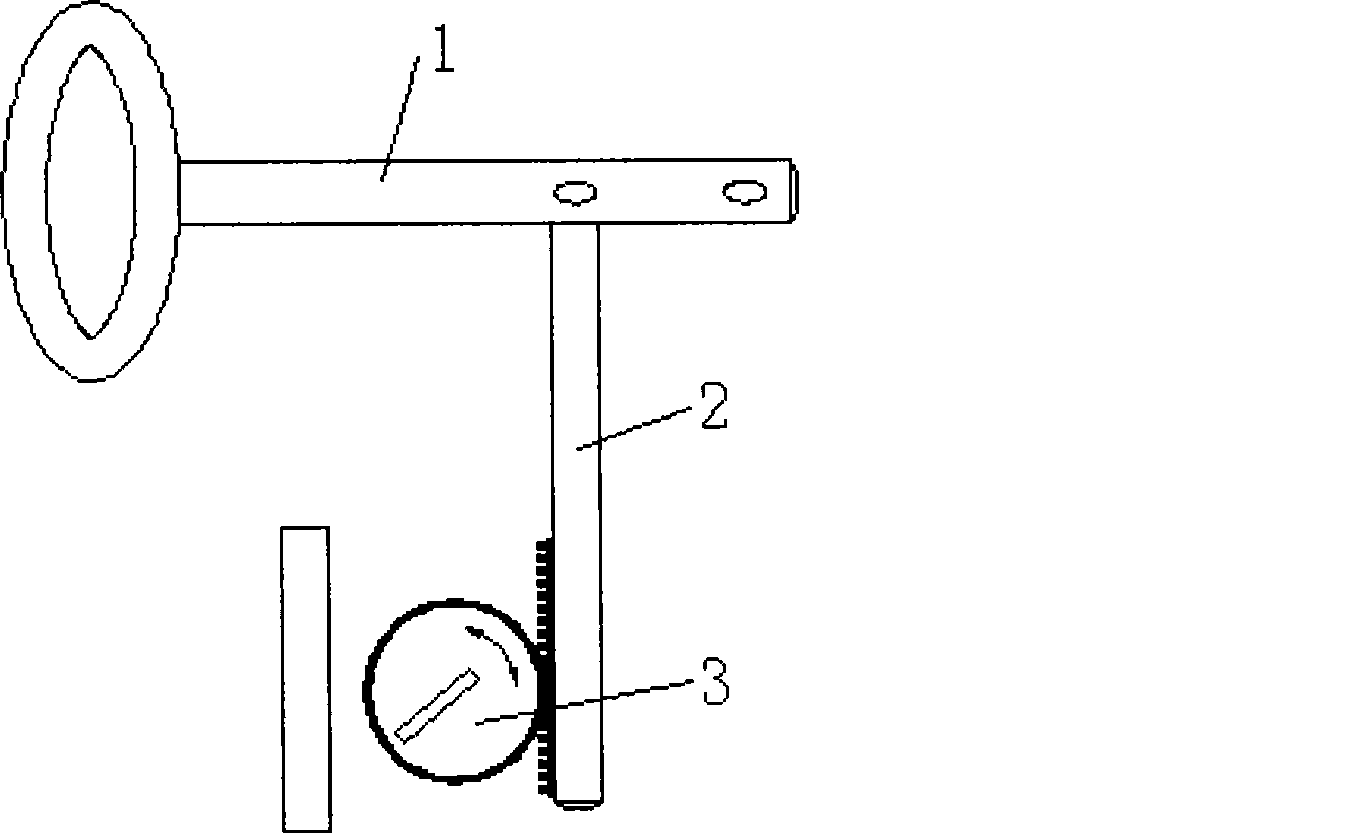 Wireless sensor for freezing state of high tension power line