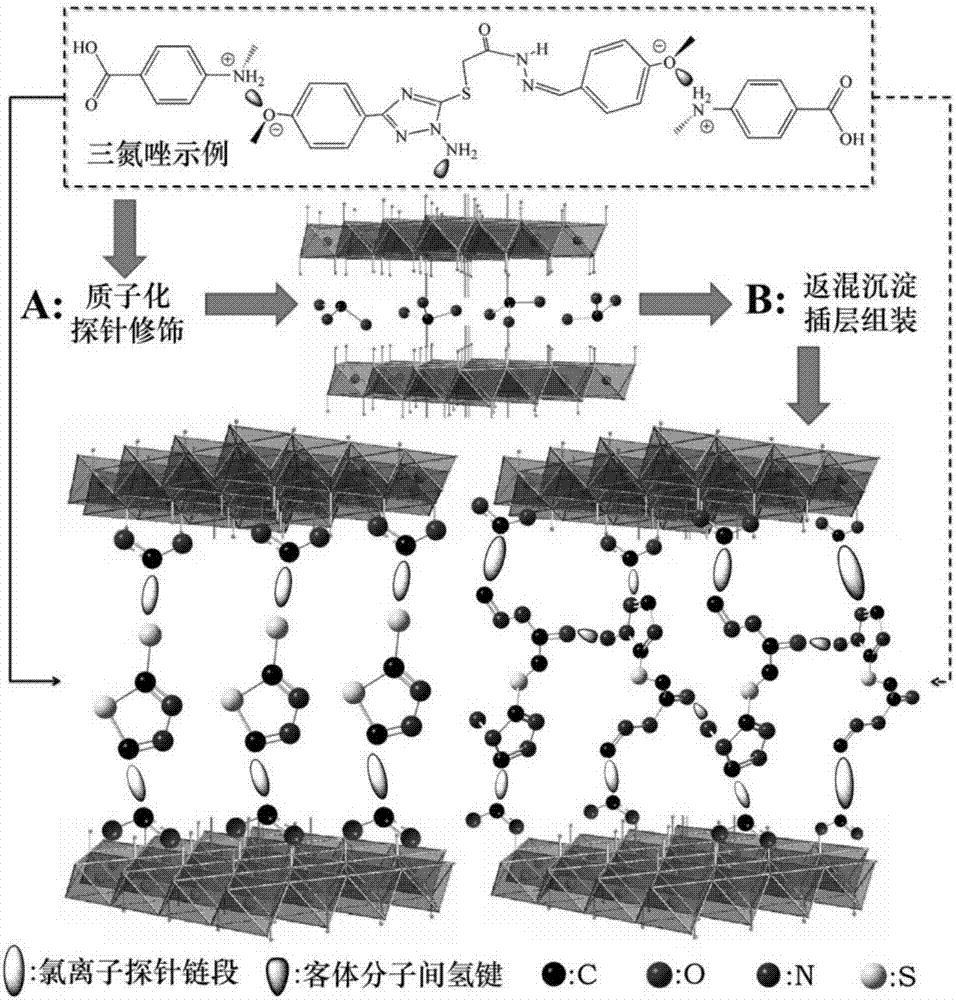 Hydrotalcite intercalation chloride ion probe modified sulfydryl-containing thiadiazole anti-rusting composition and application thereof