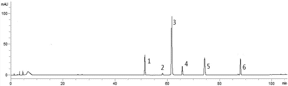 Method for determining fingerprint chromatography of radix astragali and ligusticum wallichii extract products