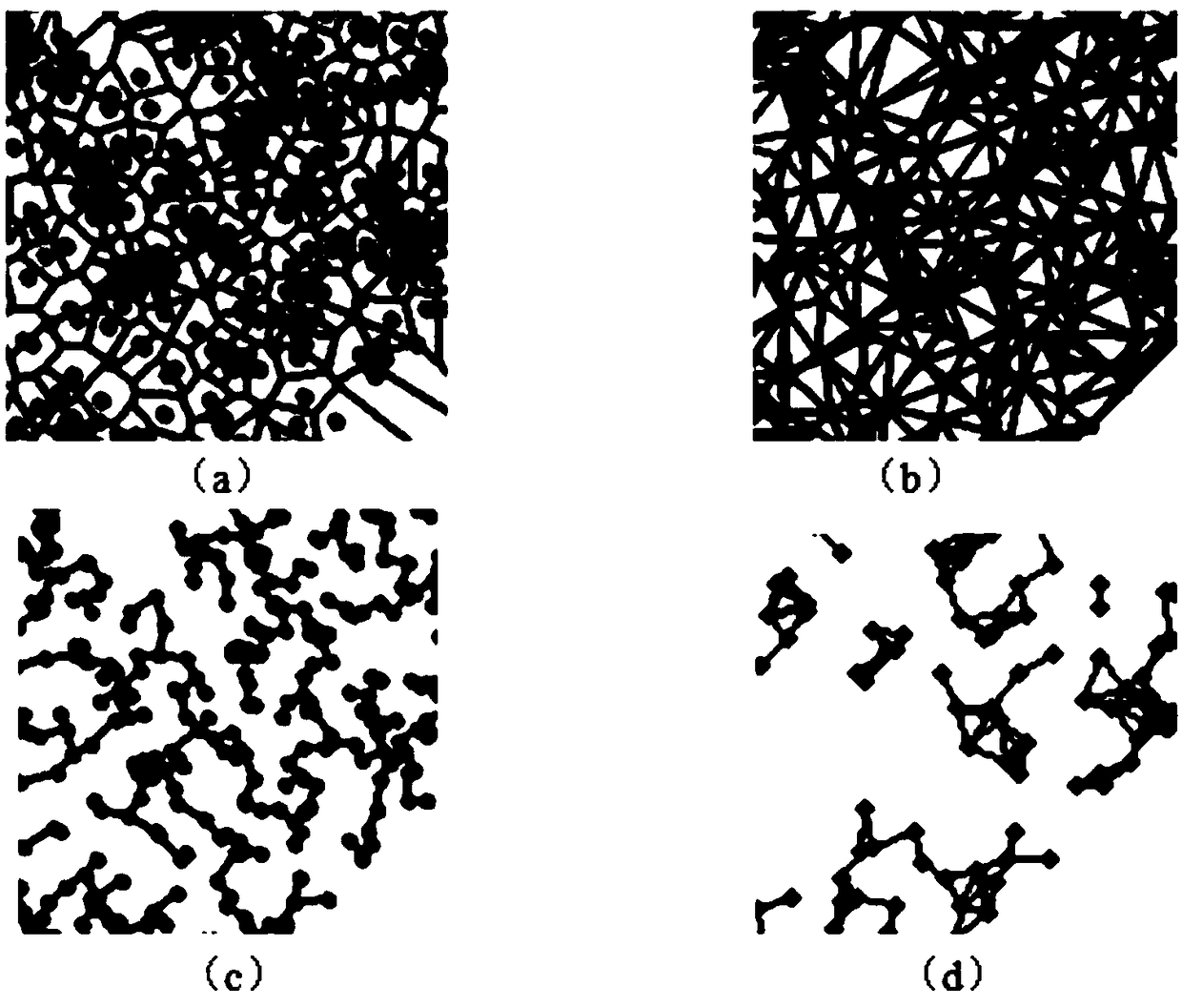 A microscopic image analysis method of a cervical cancer tissue based on a graph theory