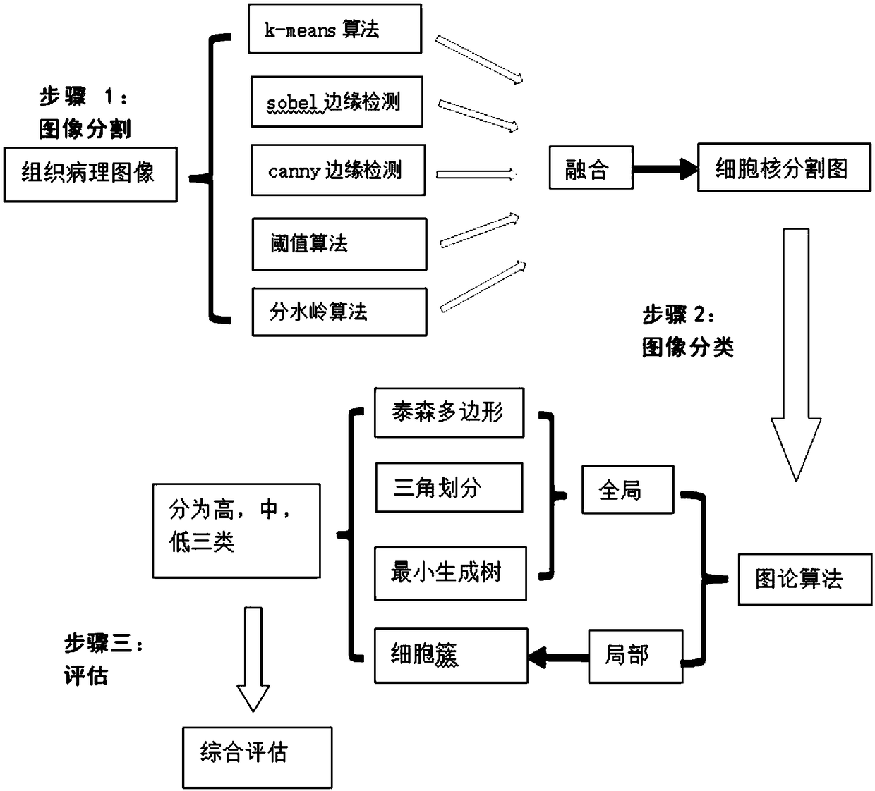 A microscopic image analysis method of a cervical cancer tissue based on a graph theory