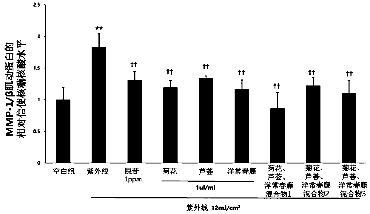 Cosmetic composition for improving skin aging or skin wrinkle