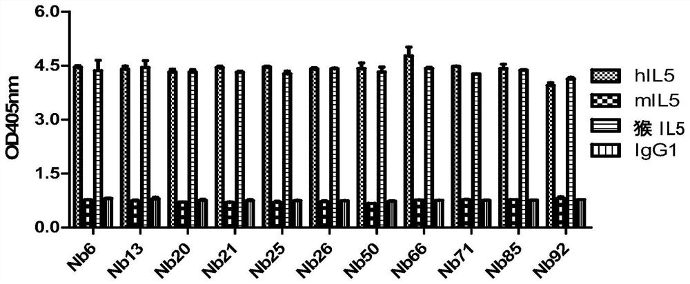 Anti-IL5 nano antibody and application thereof