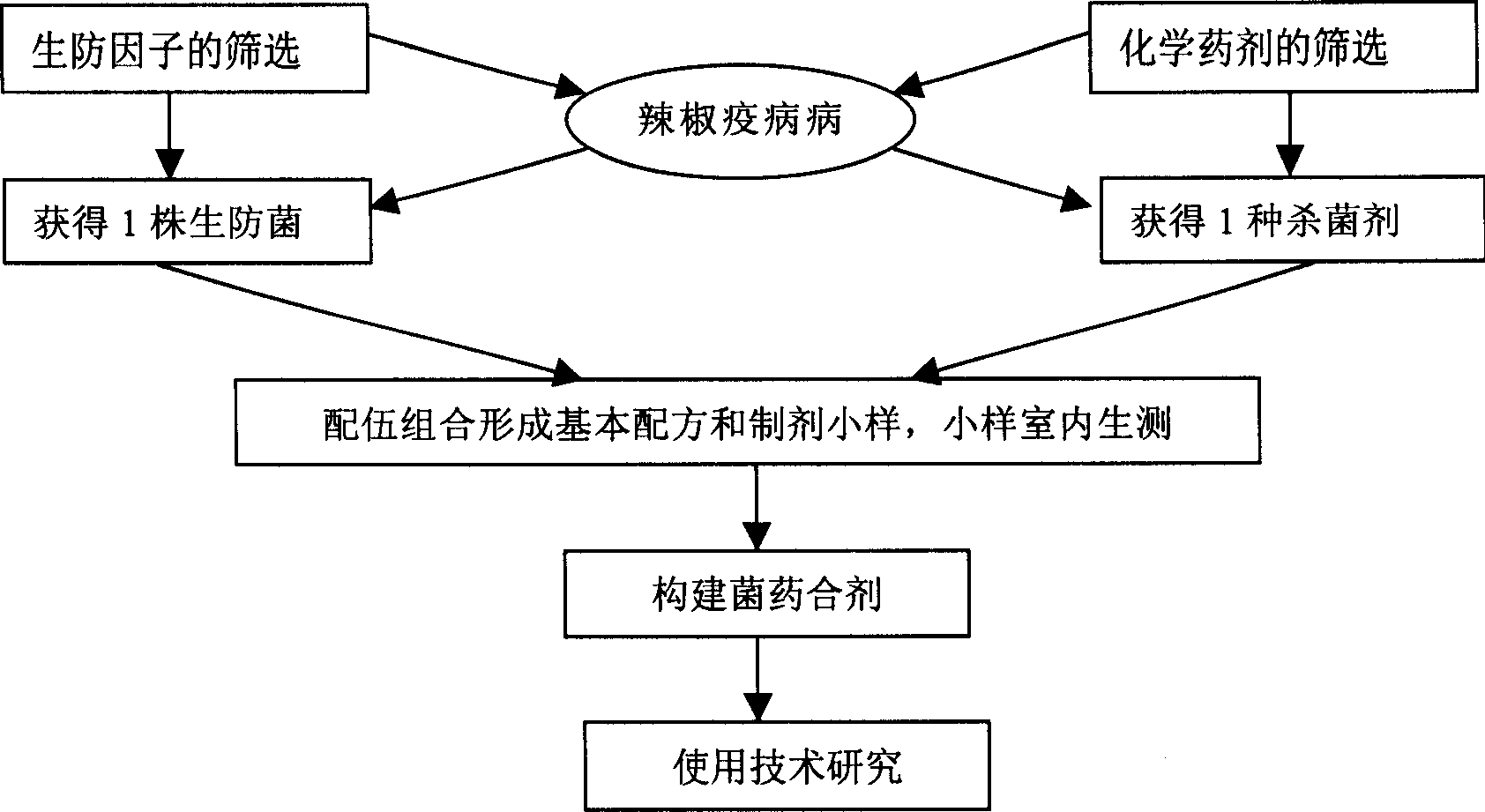 Mixture of bacterial medicine for controlling vegetable epidemic disease and preparation method