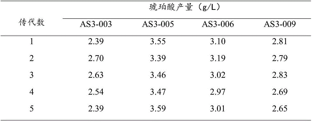 Succinic acid-rich strain for brewing soy sauce as well as mutation breeding method and application of succinic acid-rich strain