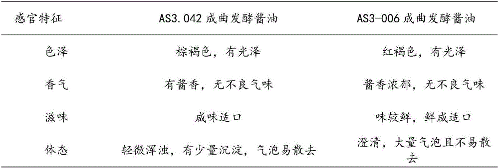 Succinic acid-rich strain for brewing soy sauce as well as mutation breeding method and application of succinic acid-rich strain