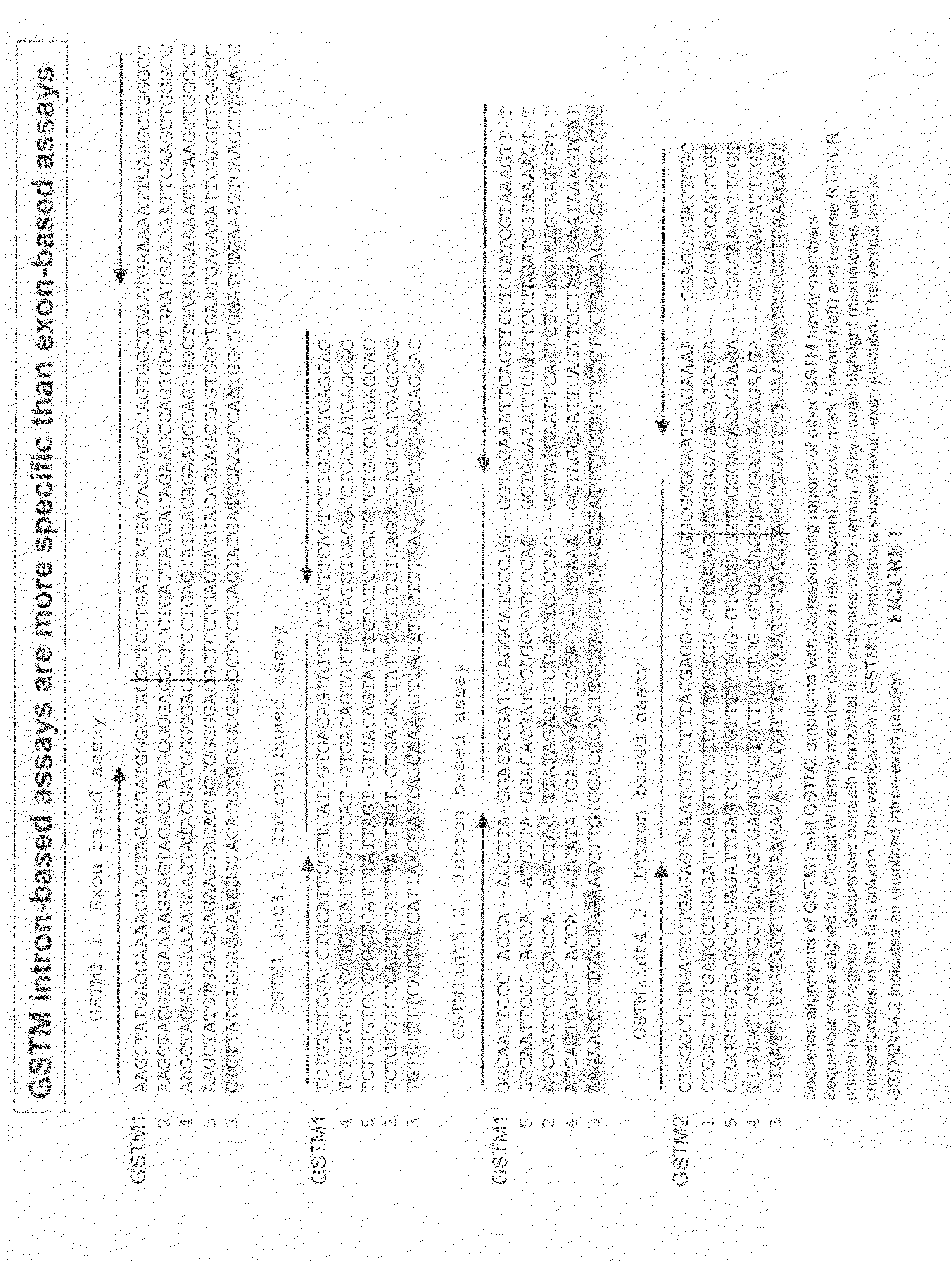 Genes involved estrogen metabolism