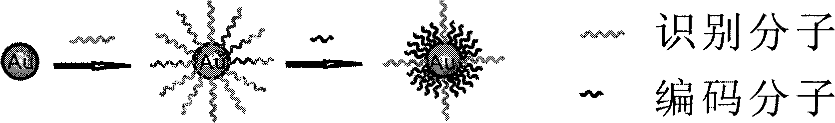 Method for preparing dimolecular modified nanometer probe as well as application thereof