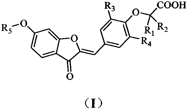 PPARgamma/delta dual agonist, preparation method thereof and application of PPARgamma/delta dual agonist as medicine