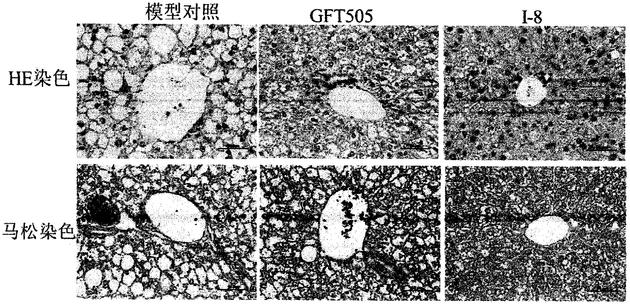 PPARgamma/delta dual agonist, preparation method thereof and application of PPARgamma/delta dual agonist as medicine