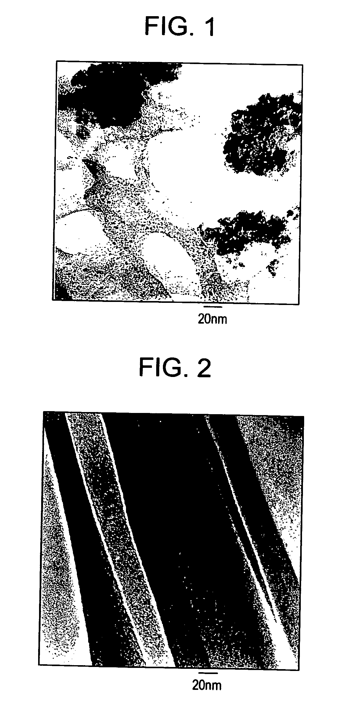 Alignment of carbon nanotubes using magnetic particles