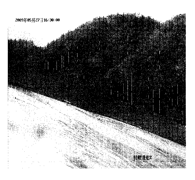 Method for calculating length of dry sand of tailings reservoir based on image recognition