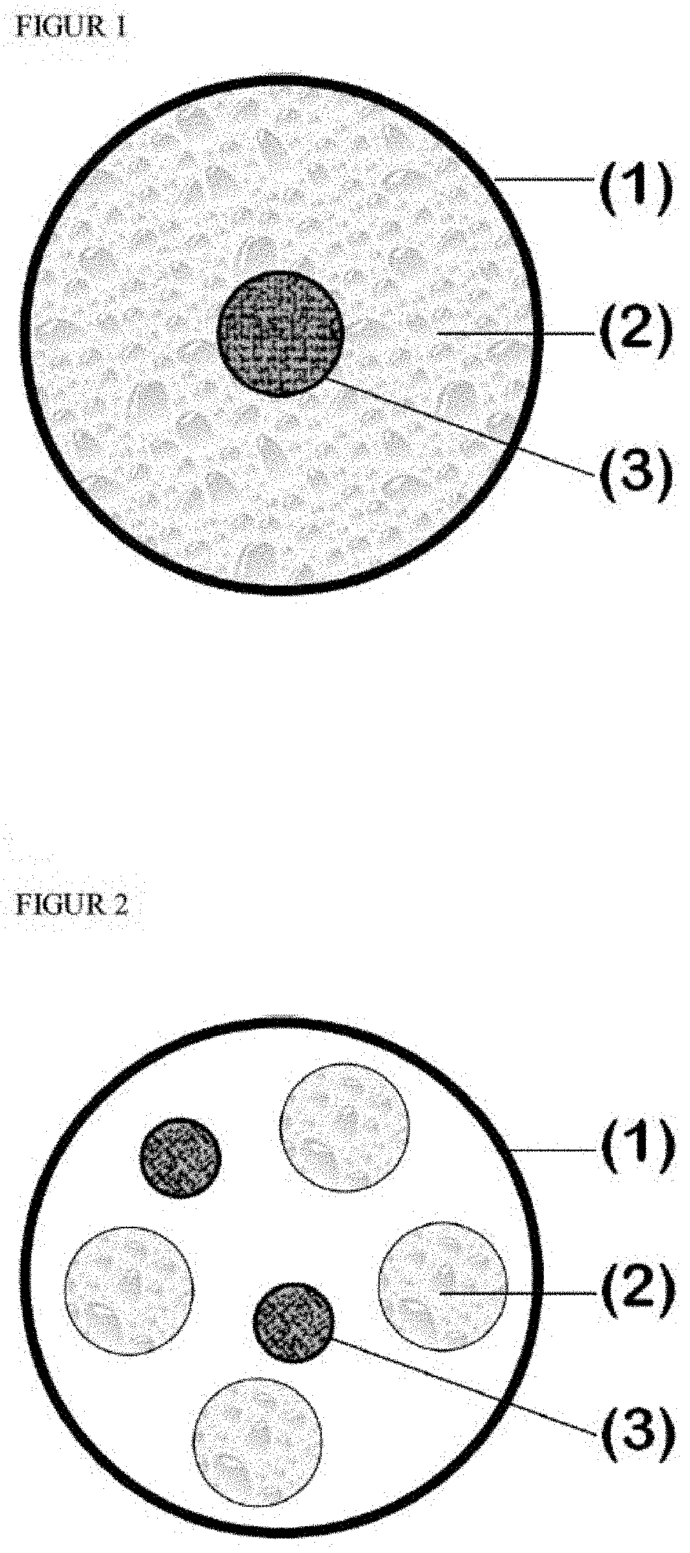 Edible nutrition system, method of preparation and use thereof