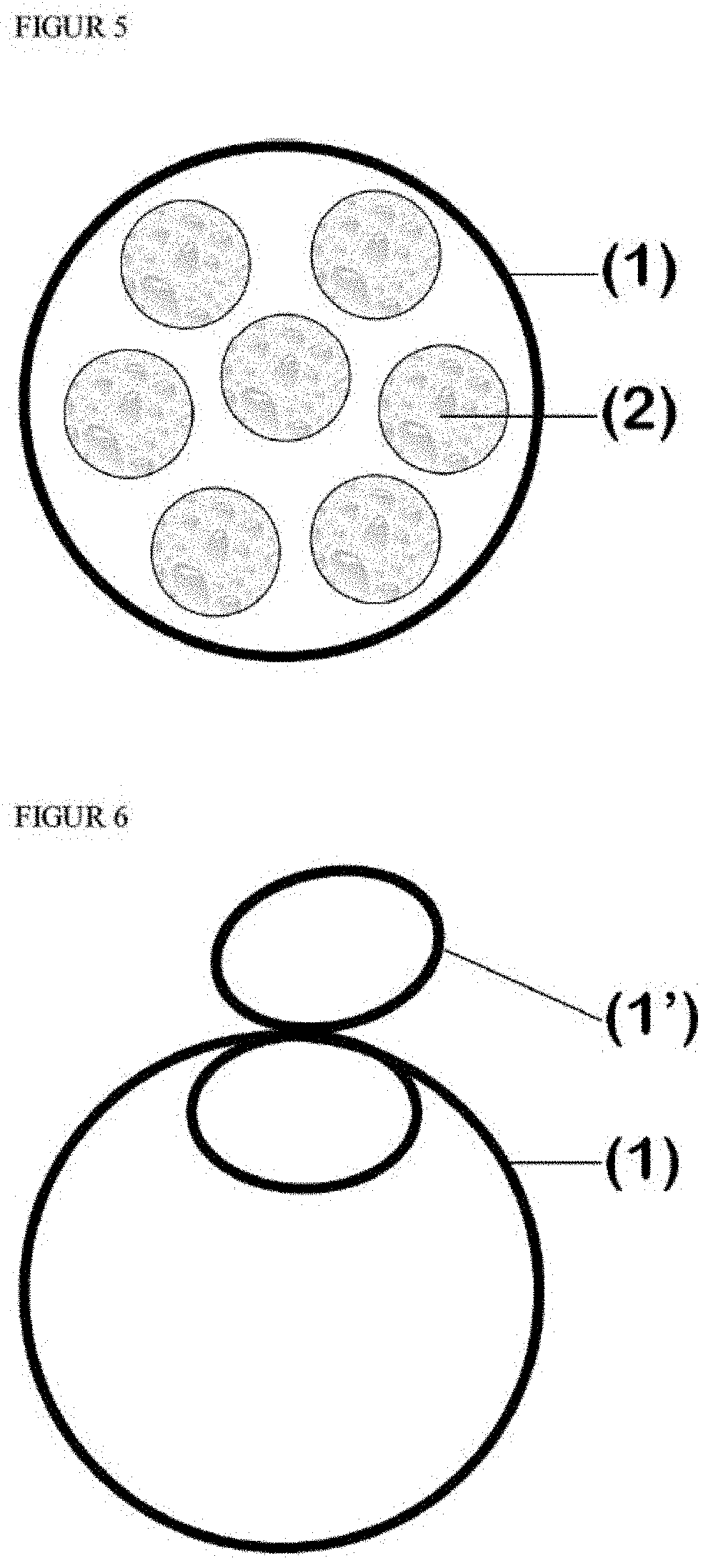 Edible nutrition system, method of preparation and use thereof