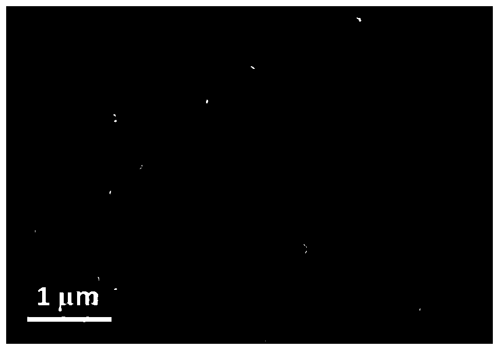 Preparation method and application of nitrogen-phosphorus double-doped graded porous carbon material