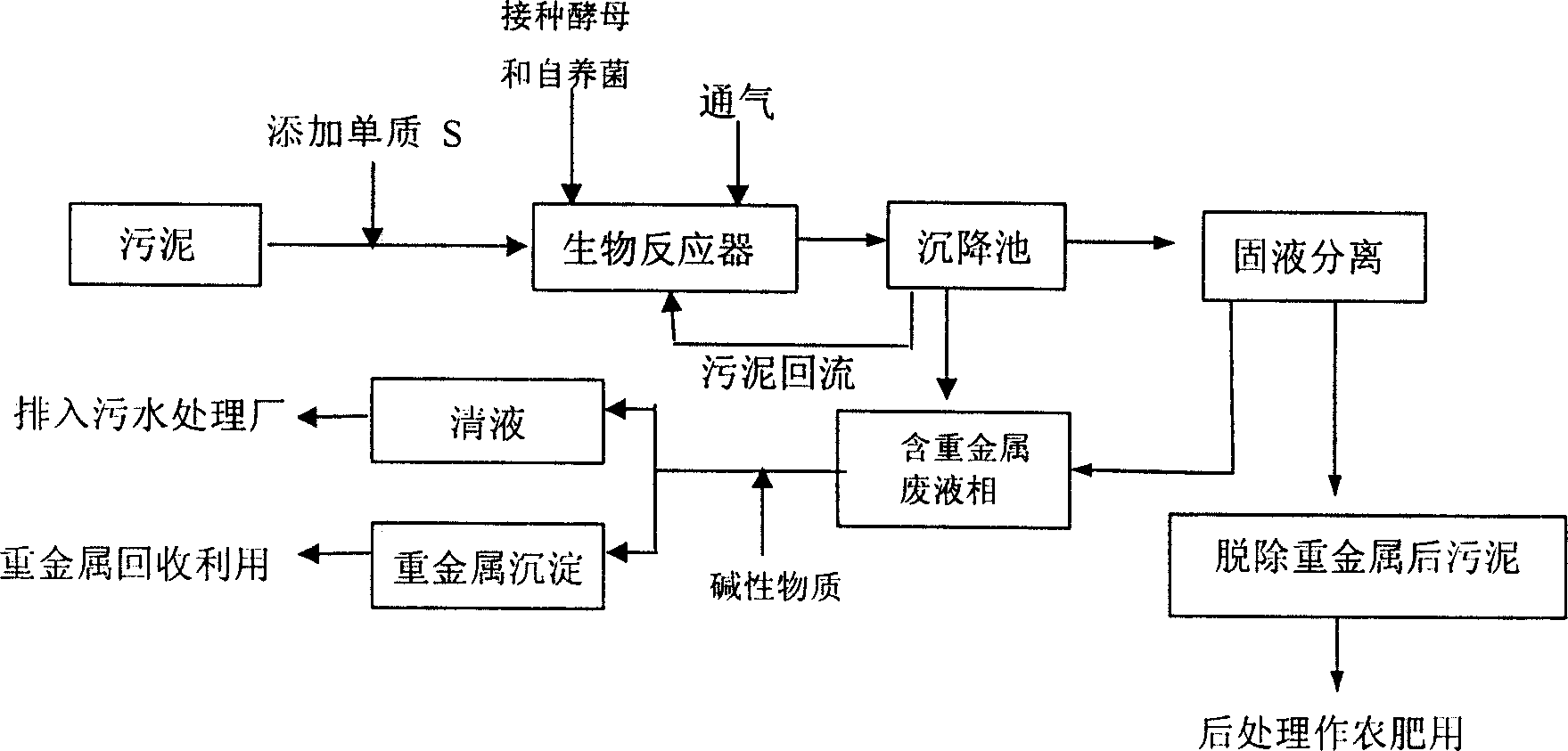 Acid resistant saccharomycete and its method of biological removing heavy metal in sudge