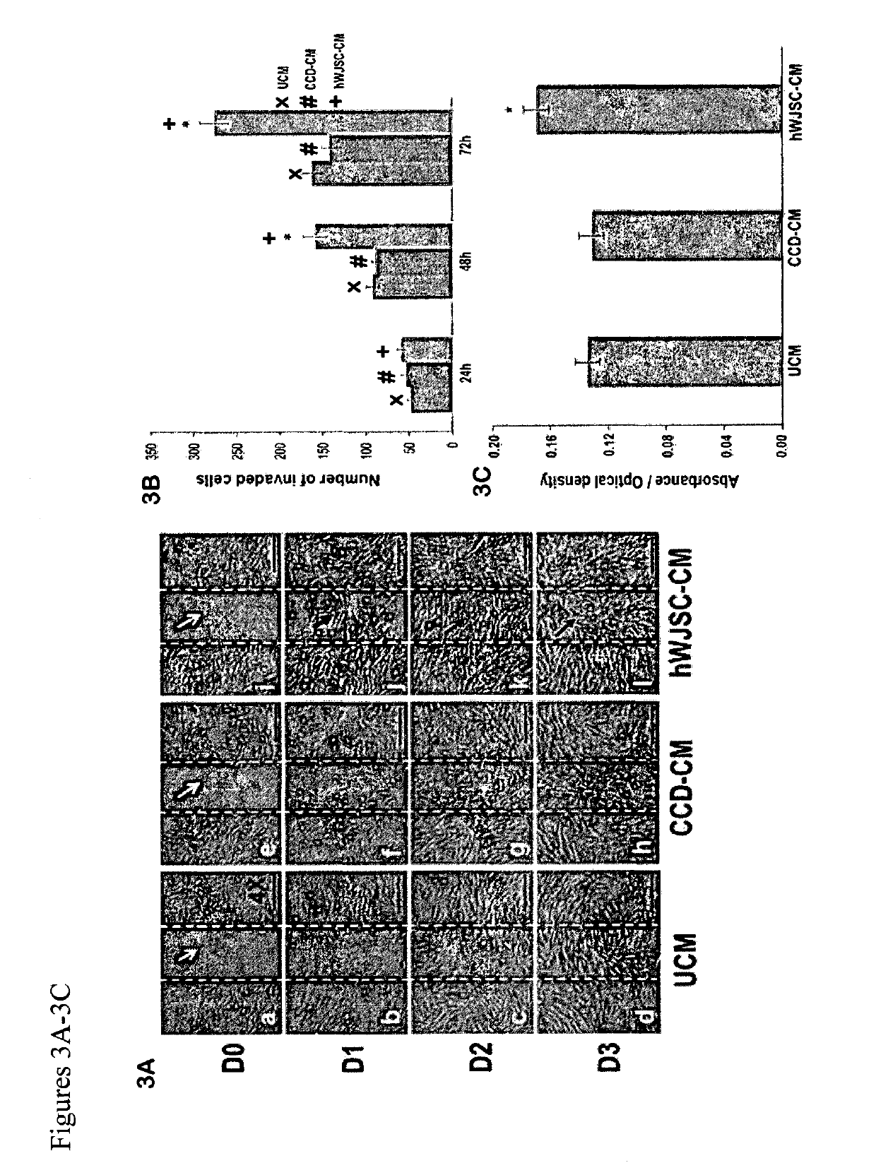 Wound dressing nanomesh impregnated with human umbilical cord Wharton's jelly stem cells