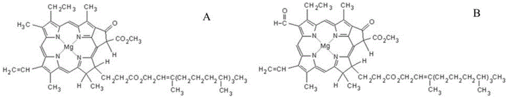 Method for removing chlorophyll in microalgaes