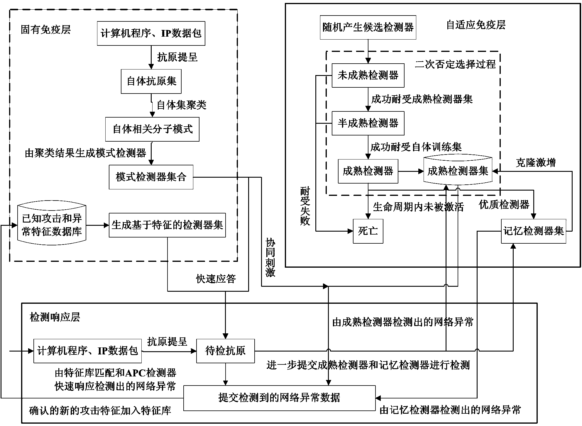 Network intrusion detection method based on multilayer immunization