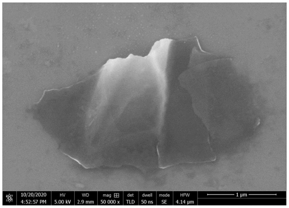 Oxygen evolution reaction electrocatalyst and preparation method thereof