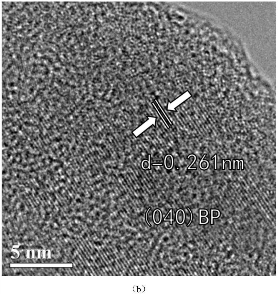 Oxygen evolution reaction electrocatalyst and preparation method thereof