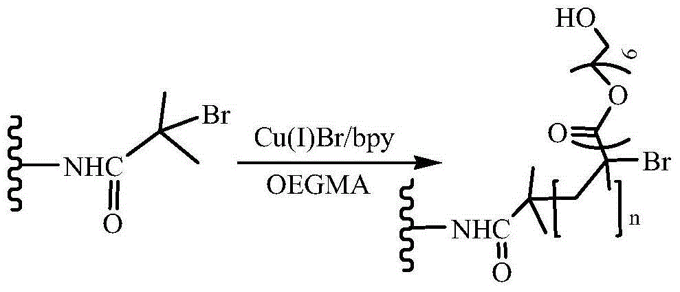 Preparation method and application of high-density RGD peptide modified material