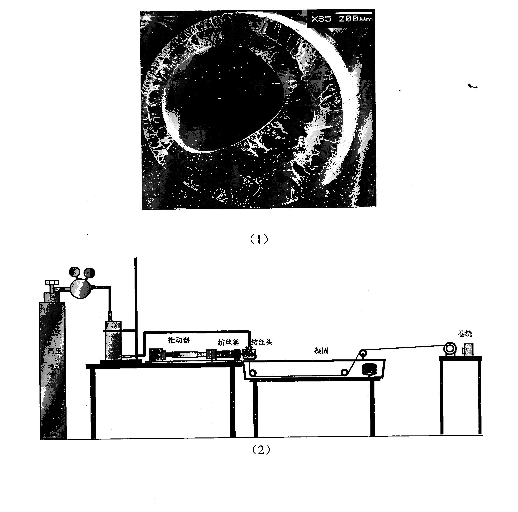 Porous degradable blood vessel and preparation method thereof