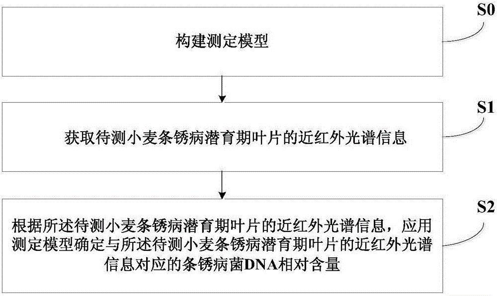 Method for measuring relative content of puccinia striiformis DNA (deoxyribose nucleic acid) in wheat leaves