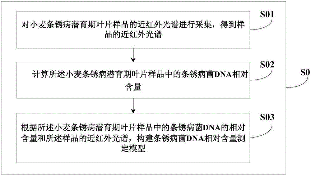 Method for measuring relative content of puccinia striiformis DNA (deoxyribose nucleic acid) in wheat leaves