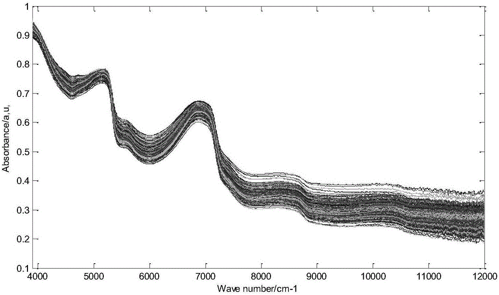 Method for measuring relative content of puccinia striiformis DNA (deoxyribose nucleic acid) in wheat leaves