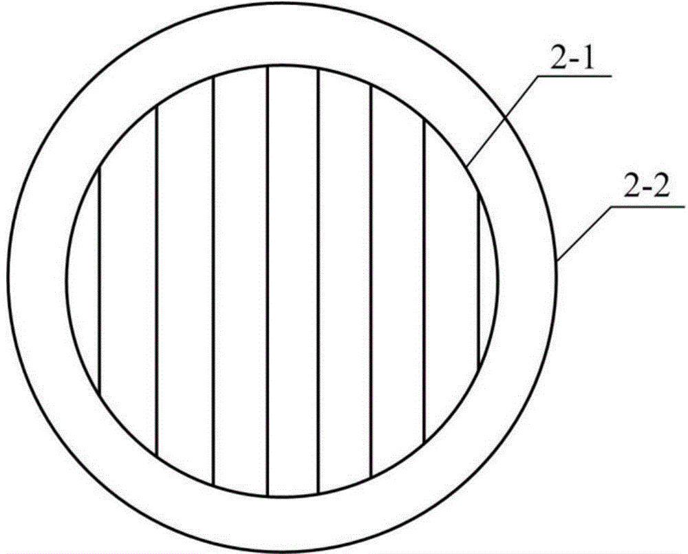 Strabismus angle measurement device with hard film pressing triple prism