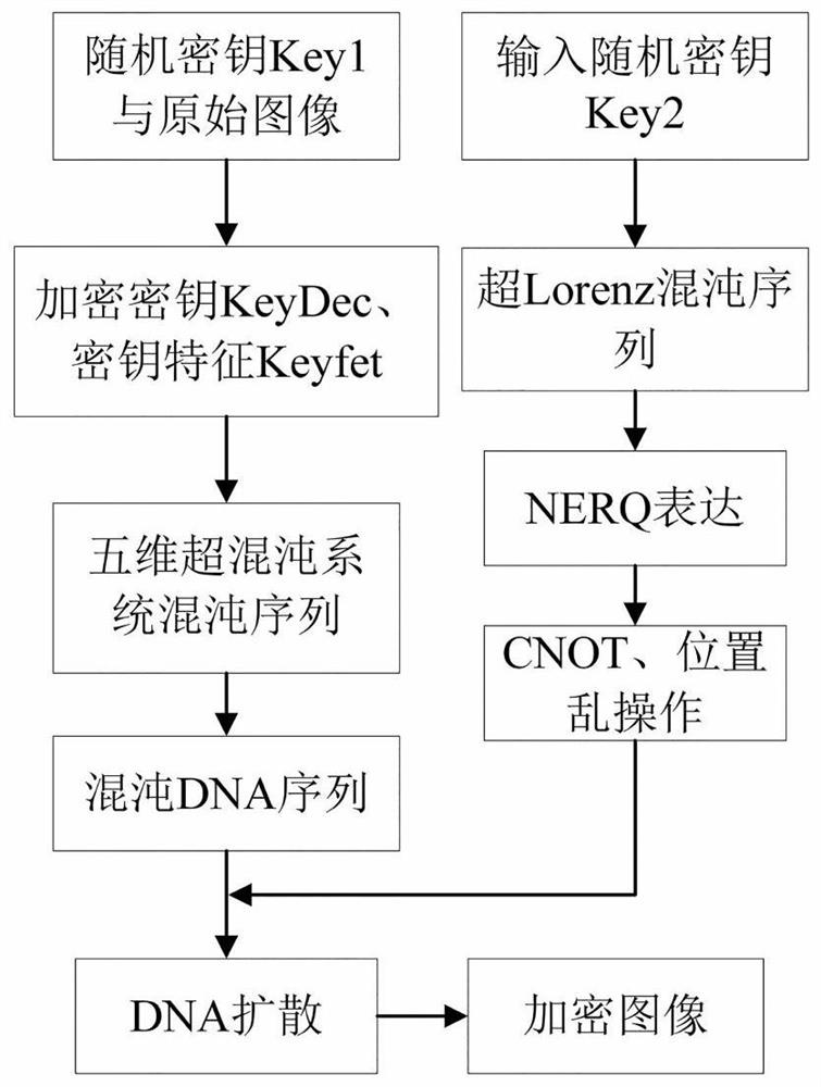 Color quantum image encryption and decryption method based on multi-chaos and dna operation