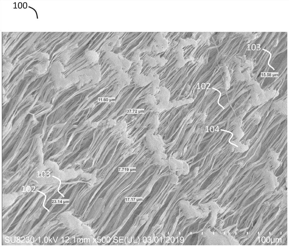 Biological interface for planting seaweed