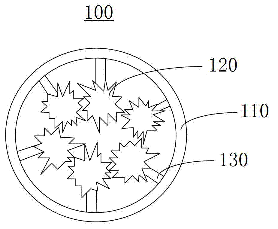 Diagnosis-treatment integrative medicine carrying polymer and preparation method thereof