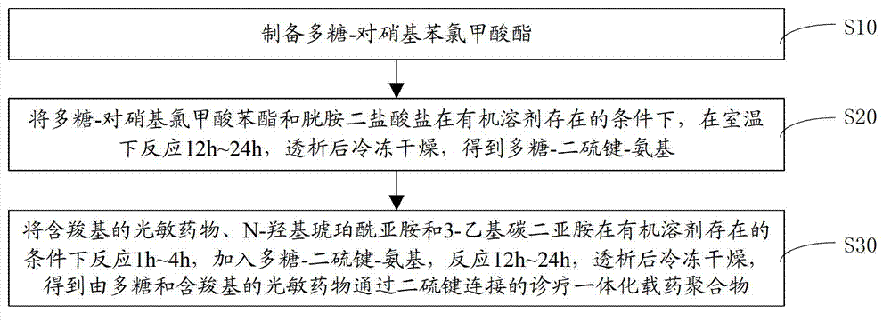 Diagnosis-treatment integrative medicine carrying polymer and preparation method thereof