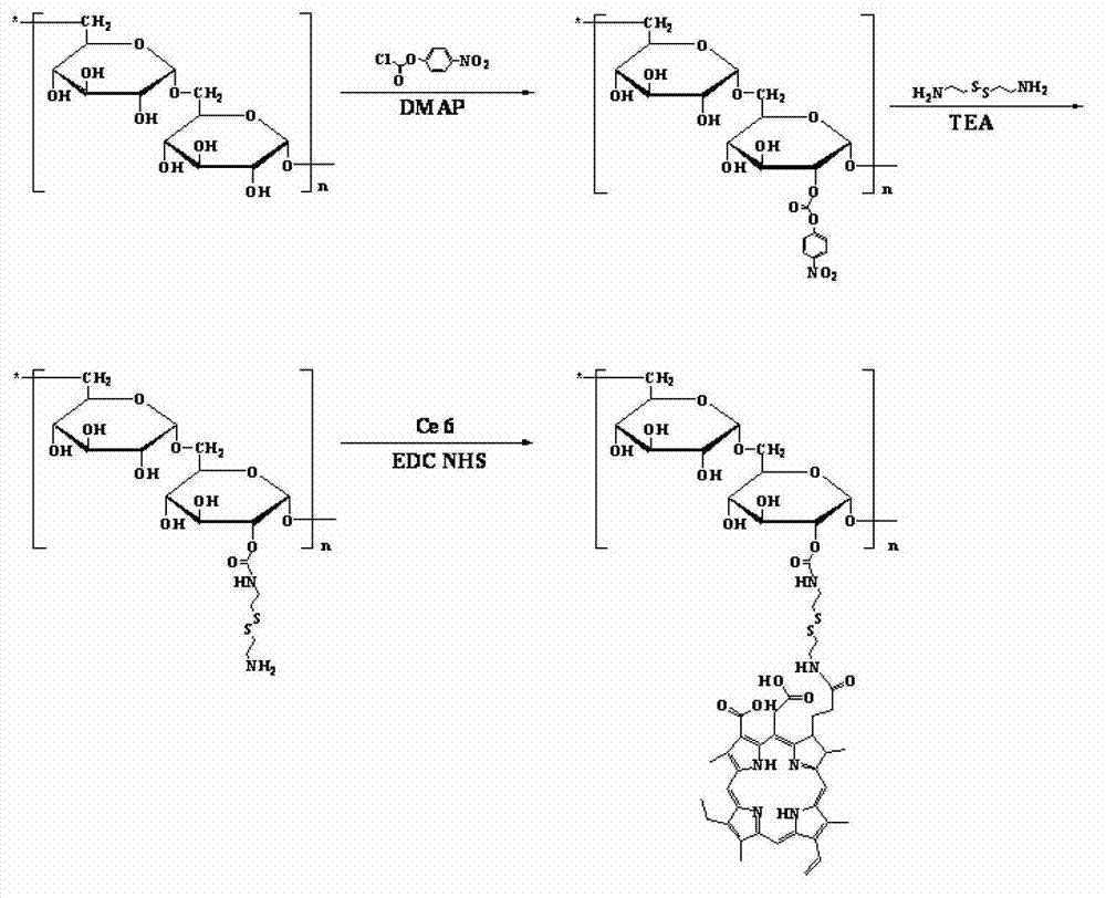 Diagnosis-treatment integrative medicine carrying polymer and preparation method thereof