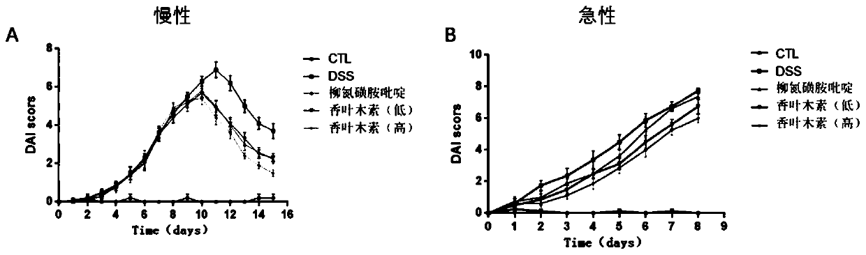 Application of diosmetin in preparation of medicament for treating inflammatory bowel disease