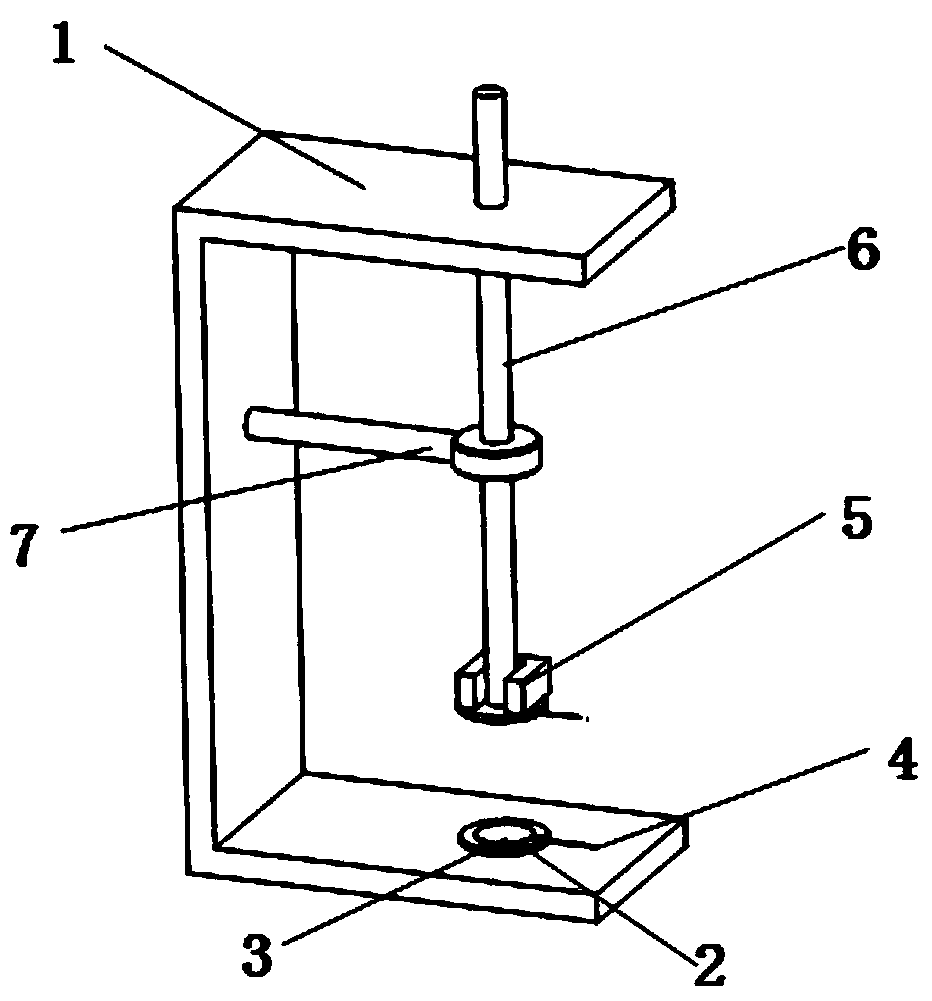 Method for determining plant leaf cell conveying capacity