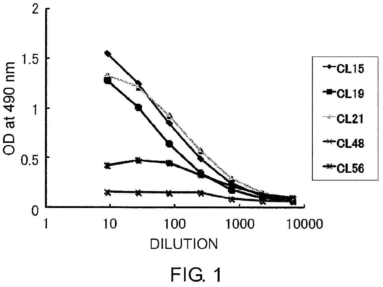 Antibody against calcified globule and use of the same