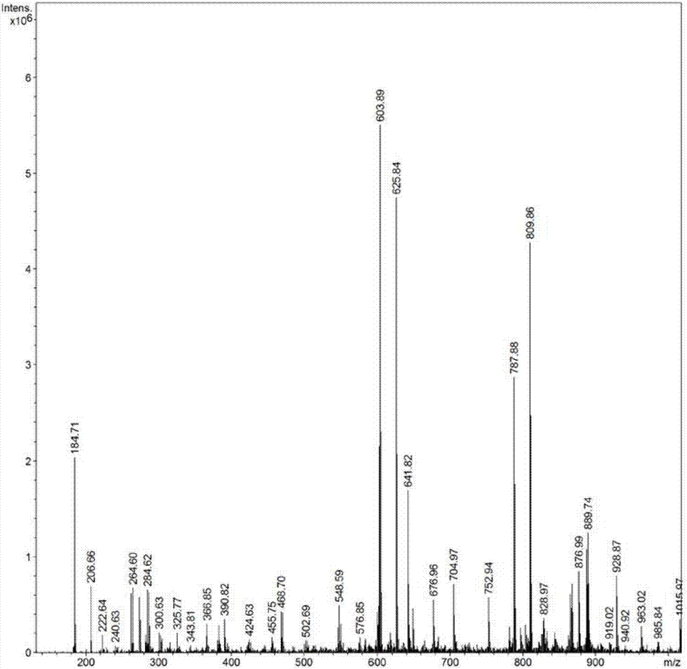 Fluorescent probe based on rhodamine-indole derivative as well as preparation method and application of fluorescent probe