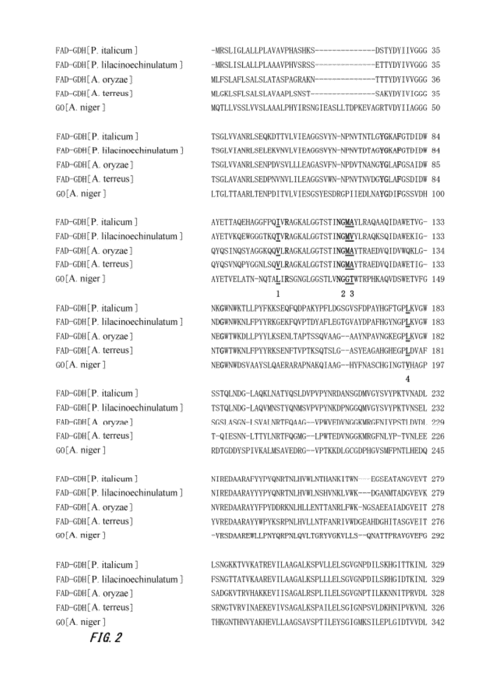 Mutant enzyme and application thereof