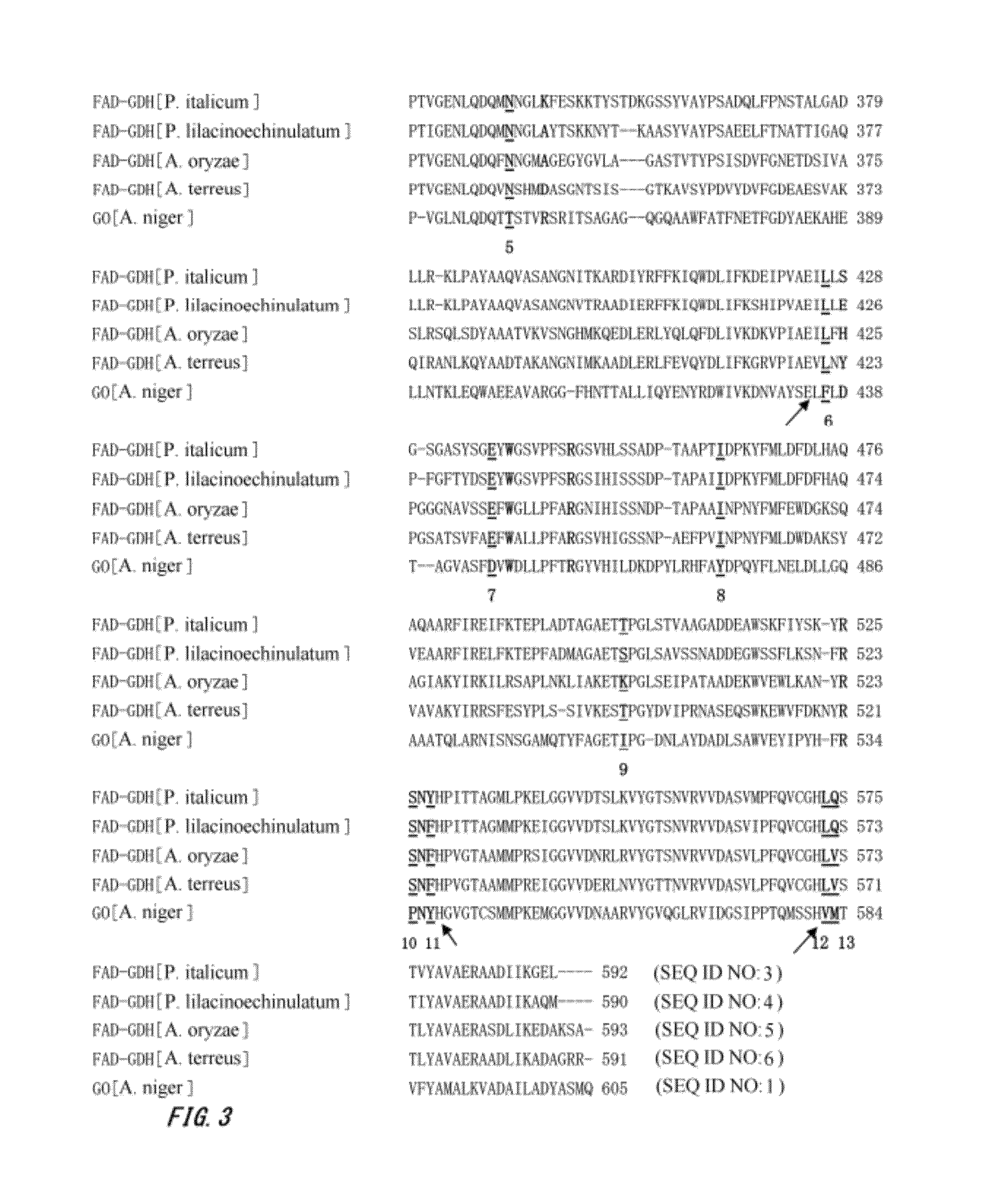 Mutant enzyme and application thereof