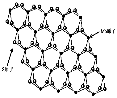 Method for inhibiting DNA digestion