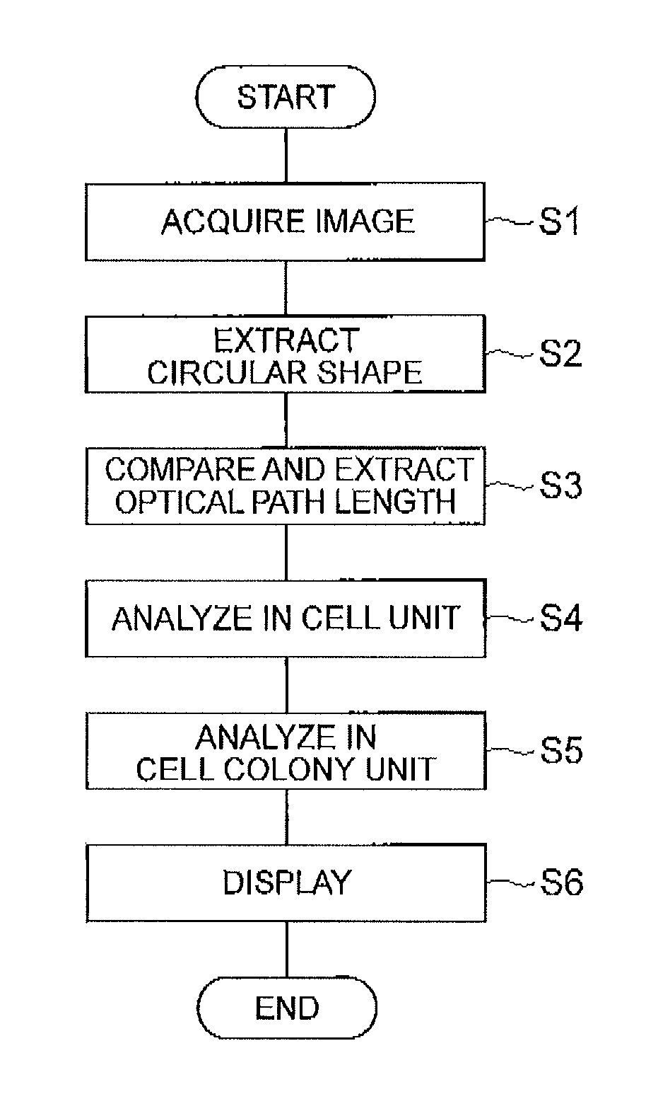 Cell analysis method, cell analysis device, and cell analysis program