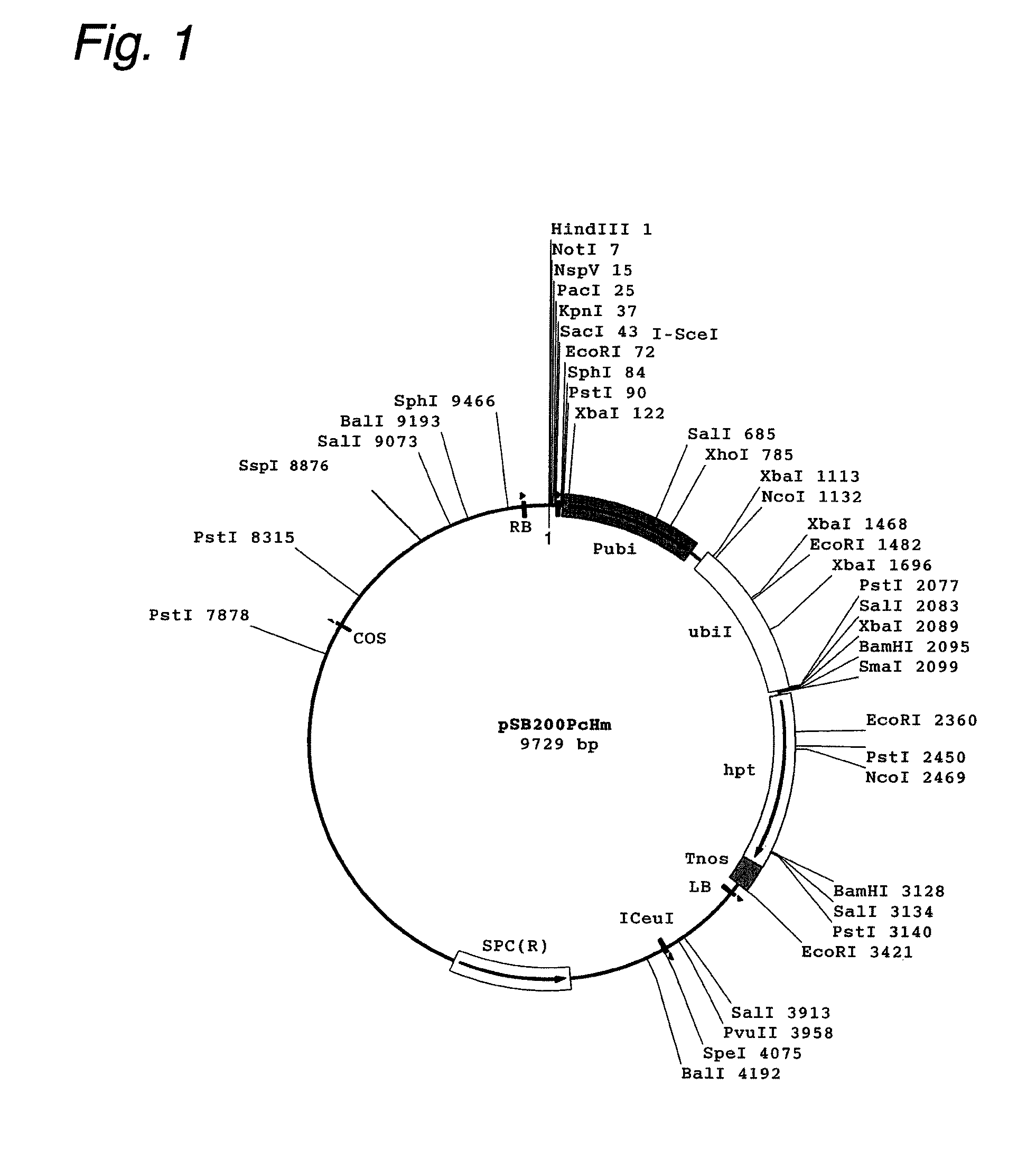 Cosmid vector for plant transformation and use thereof