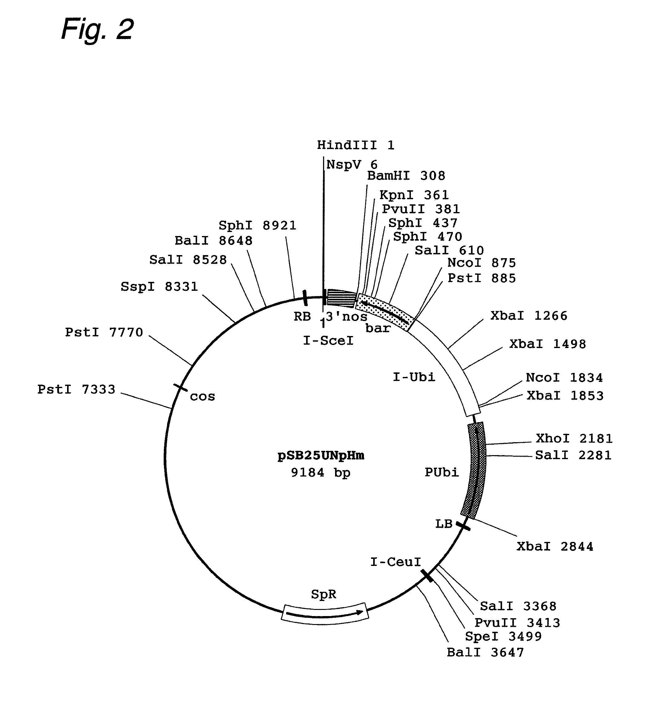 Cosmid vector for plant transformation and use thereof