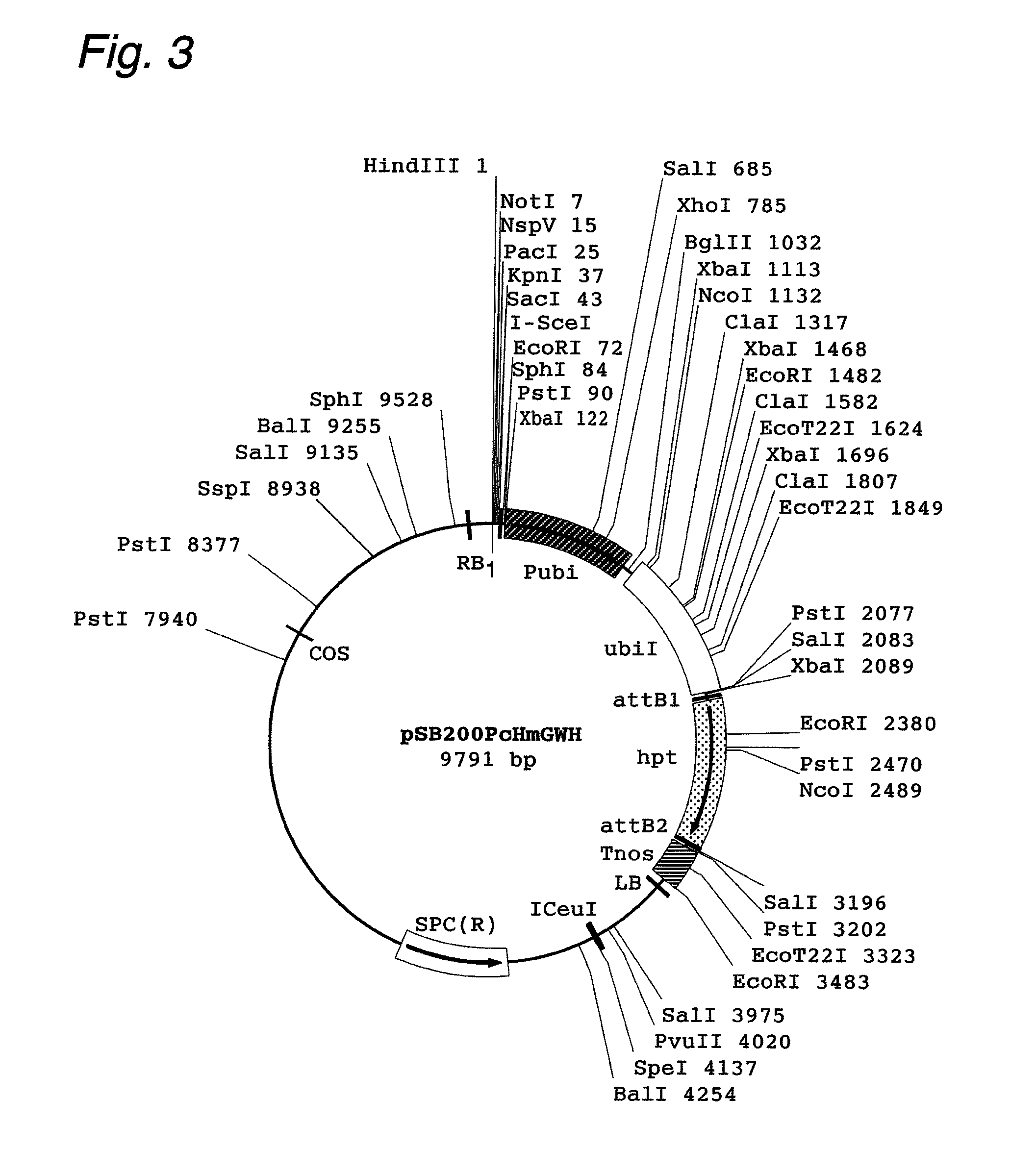 Cosmid vector for plant transformation and use thereof