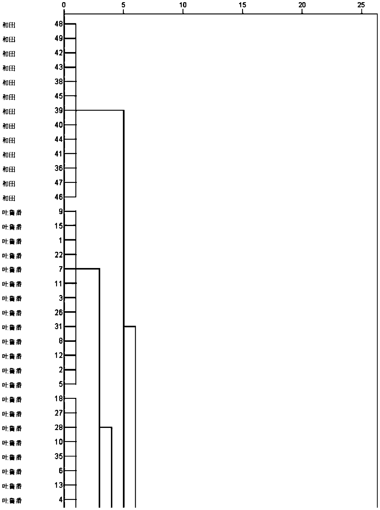 System for tracing origin of Turpan raisins