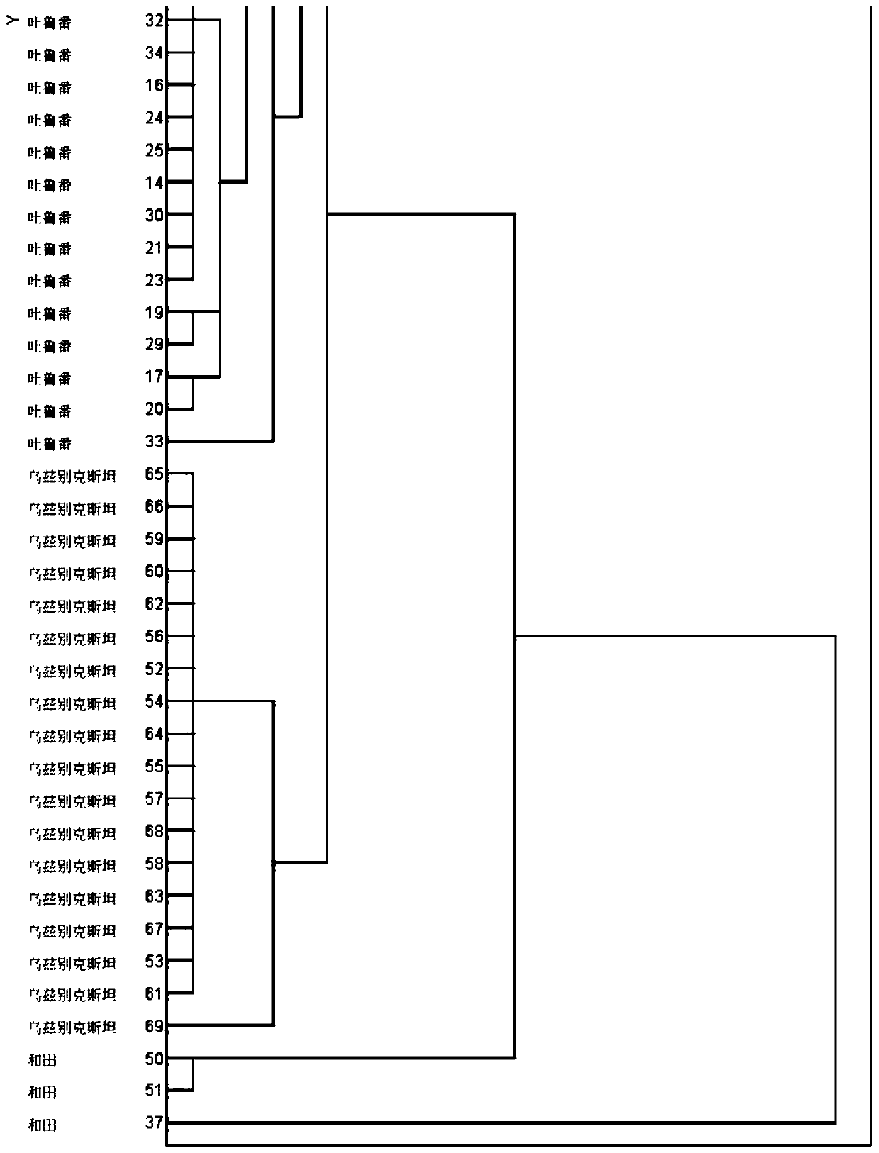 System for tracing origin of Turpan raisins